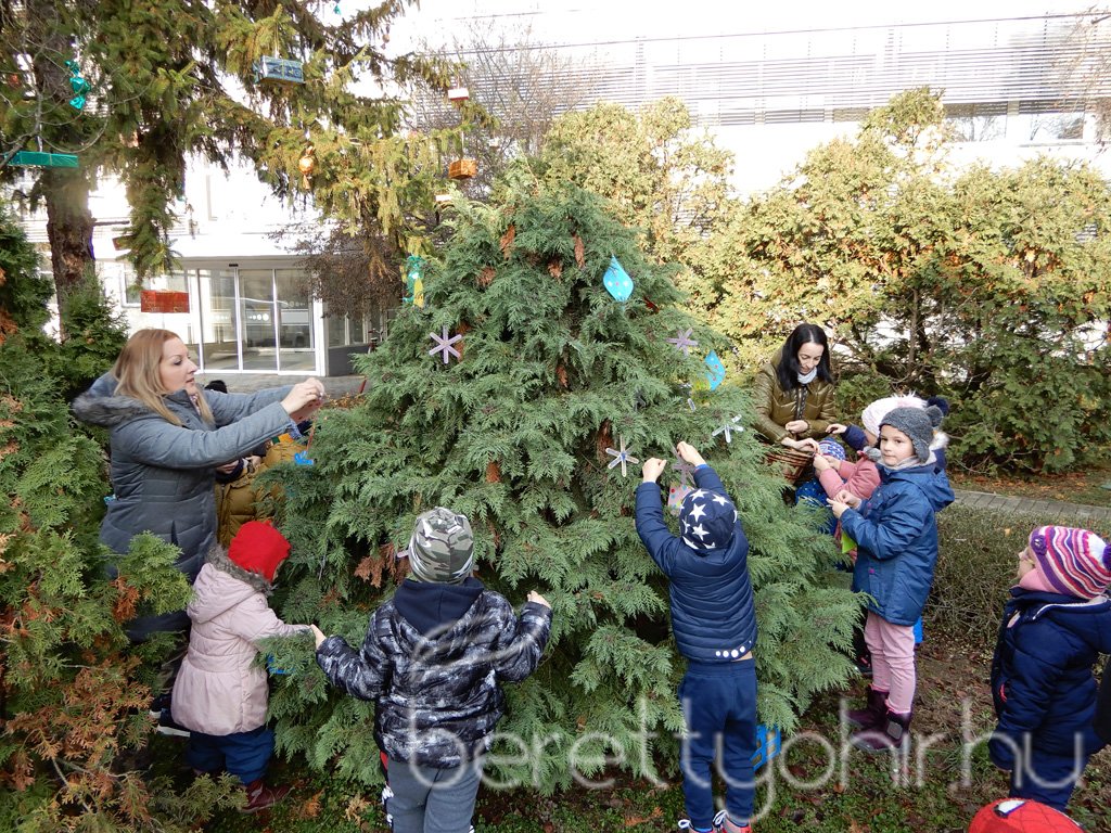 Fenyődíszítés a kórházban 14